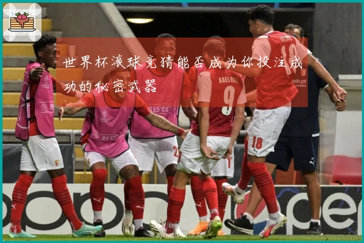 世界杯滚球竞猜能否成为你投注成功的秘密武器