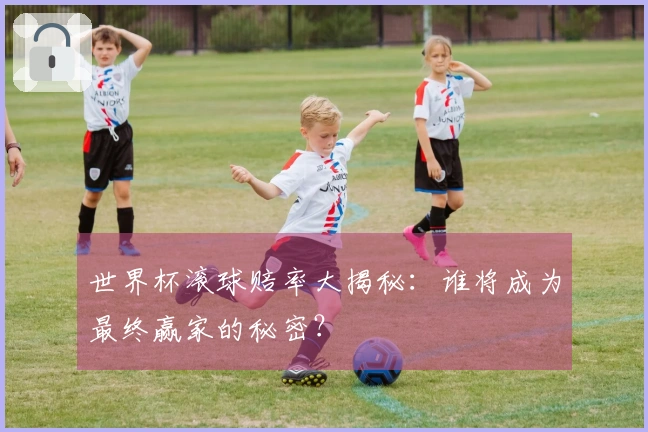 世界杯滚球赔率大揭秘：谁将成为最终赢家的秘密？