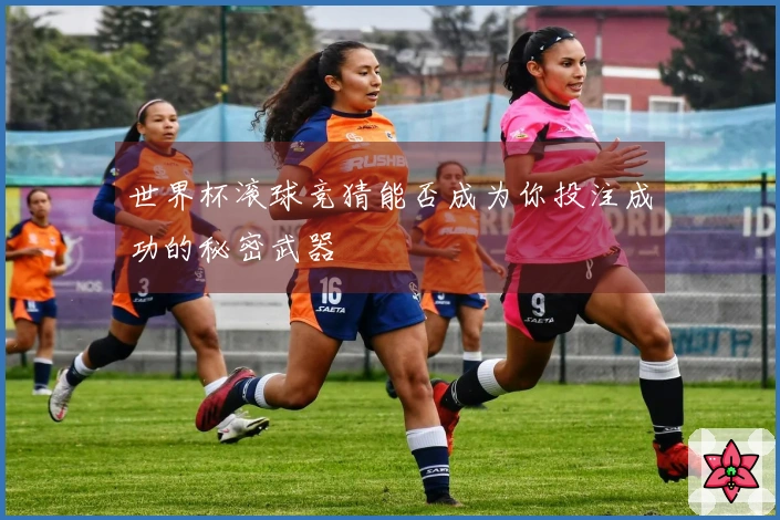 世界杯滚球竞猜能否成为你投注成功的秘密武器