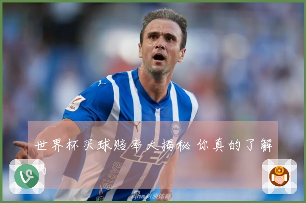 世界杯买球赔率大揭秘 你真的了解吗