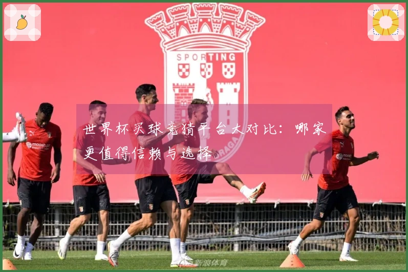 世界杯买球竞猜平台大对比：哪家更值得信赖与选择